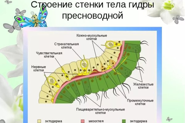 Кракен официальный сайт тор kraken6.at kraken7.at kraken8.at