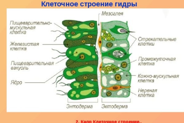 Адрес крамп в тор