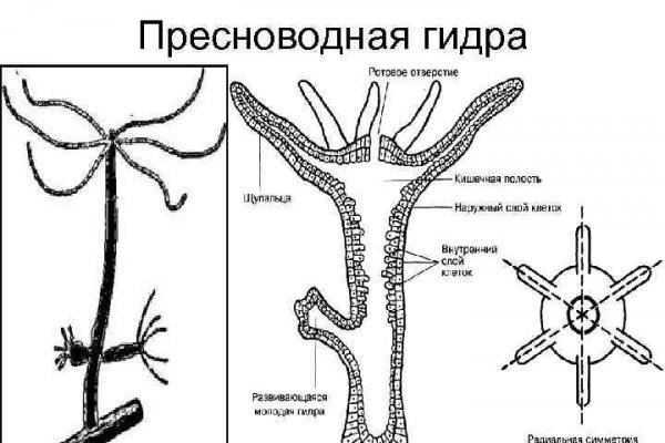 Рабочие ссылки на kraken kraken6.at kraken7.at kraken8.at