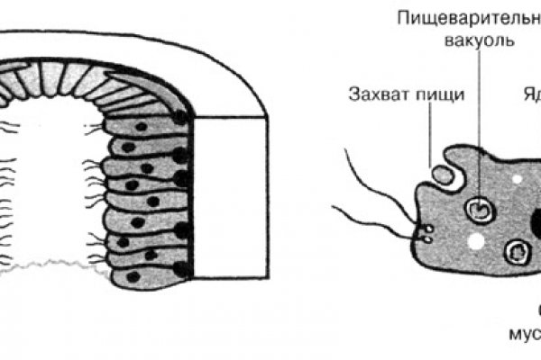 Ссылка com кракена